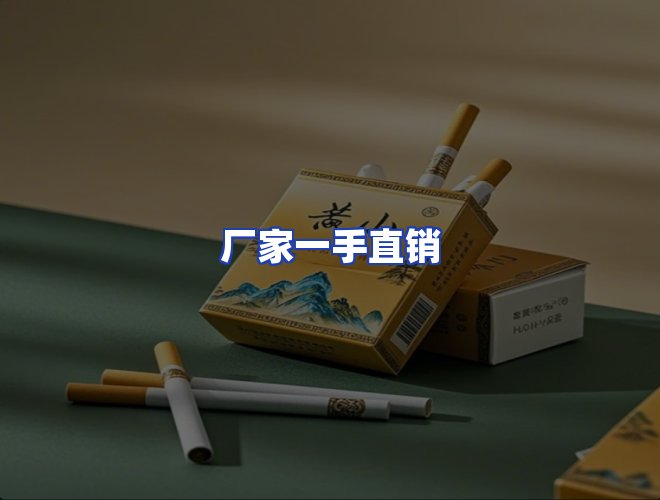 专业团队